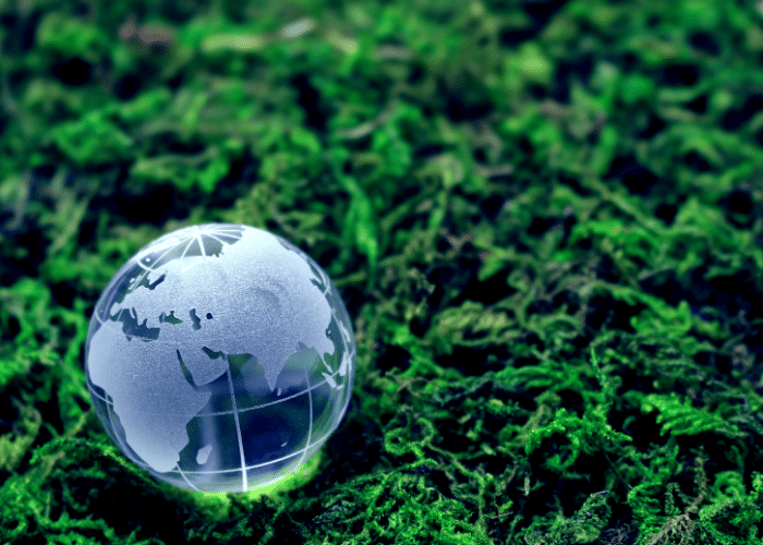 ISO 14001 : 2015 Çevre Yönetim Sistemi Baş Denetçilik Eğitimi-EXEMPLAR GLOBAL ONAYLI